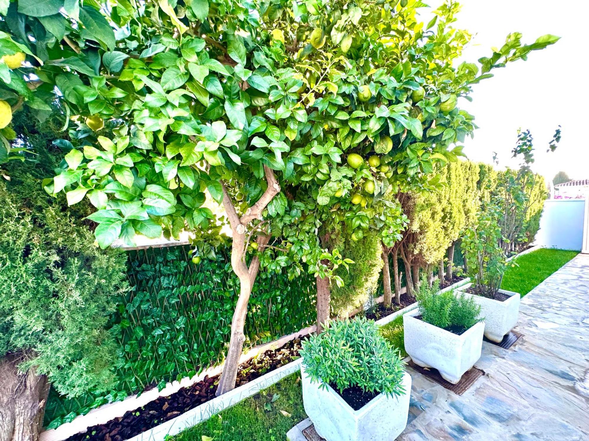 Villa Casacara Marbella Beachside Costabella -Spain エクステリア 写真
